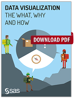 Data Visualization: The What, Why and How